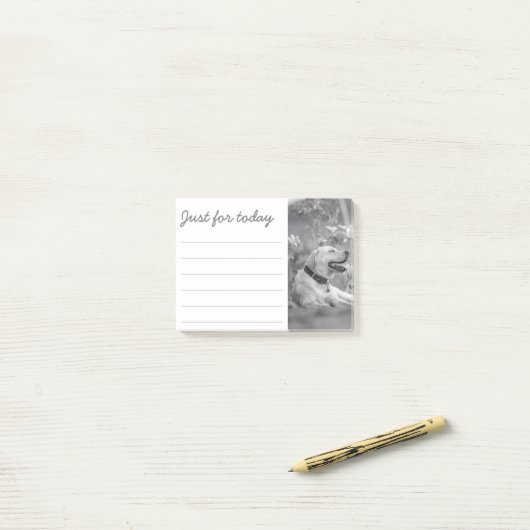 LABRADOR DOG RELAXING POST-IT NOTES POST-IT KLEBEZETTEL (Auf Schreibtisch)