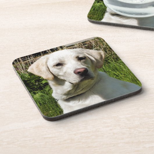 LABRADOR DOG UNTERSETZER (Linke Seite)