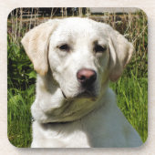 LABRADOR DOG UNTERSETZER (Vorderseite)
