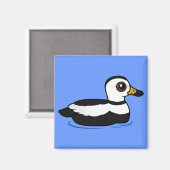 Labrador Duck (swim) Magnet (Vorderseite/Rückseite)
