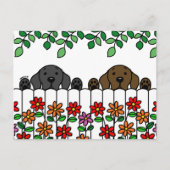 Labrador Duo beobachtet Postkarte (Vorderseite)
