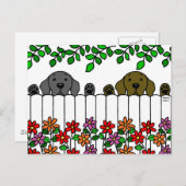 Labrador Duo beobachtet Sie Postkarte (Vorne/Hinten)