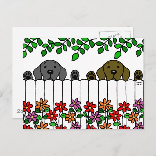 Labrador Duo beobachtet Sie Postkarte (Vorne/Hinten)