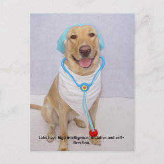 Labrador-Eigenschaften - hohe Intelligenz Postkarte