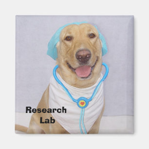 Labrador Forschung Magnet