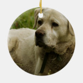 Labrador-Foto Keramik Ornament (Hinten)