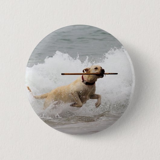 Labrador - Gelb - gehen Sie Reichweite! Button (Vorderseite)