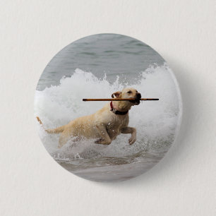 Labrador - Gelb - gehen Sie Reichweite! Button