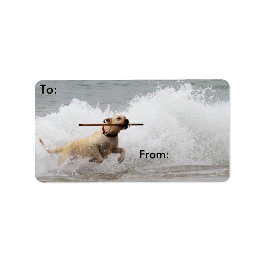 Labrador - Gelb - Hol dich! Adressaufkleber (Vorne)