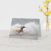 Labrador - Gelb - Hol dich! Karte (Gelbe Blume)