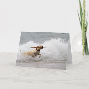 Labrador - Gelb - Hol dich! Karte