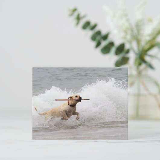 Labrador - Gelb - Hol dich! Postkarte (Stehend Vorderseite)