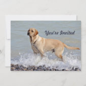 Labrador Gelber Hund Wasser Foto Geburtstag Einladung (Vorderseite)