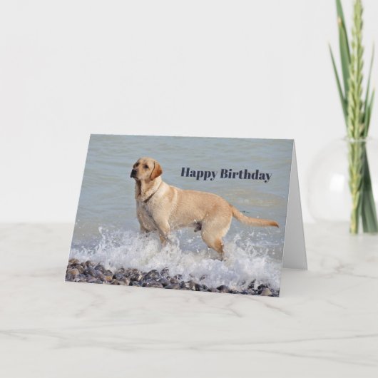 Labrador Gelber Hund Wasser Foto Geburtstag Karte (Vorderseite)