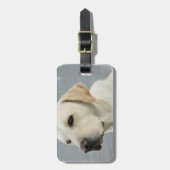 Labrador-Gepäck-Umbau Gepäckanhänger (Vorderseite vertikal)