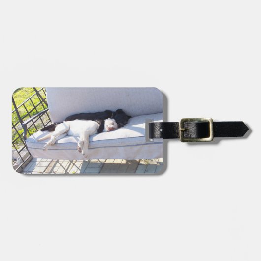 Labrador Gepäckanhänger (Vorderseite horizontal)