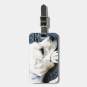 Labrador Gepäckanhänger (Vorderseite vertikal)