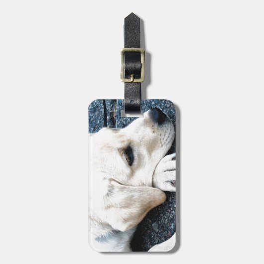 Labrador Gepäckanhänger (Vorderseite vertikal)