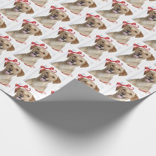 Labrador-Geschenk-Verpackung Geschenkpapier (Ecke)