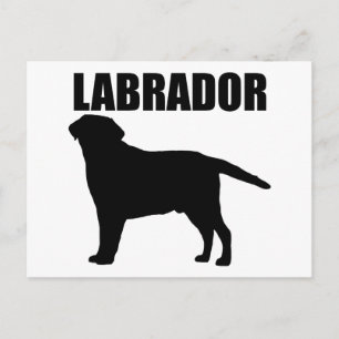 Labrador Geschenke! Postkarte