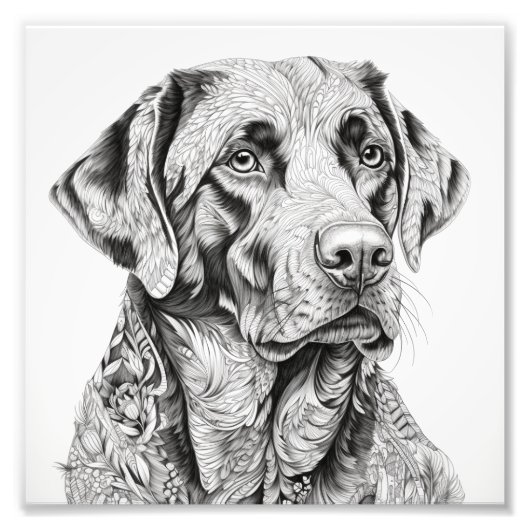 Labrador Geschenkkarte Fotodruck (Vorne)