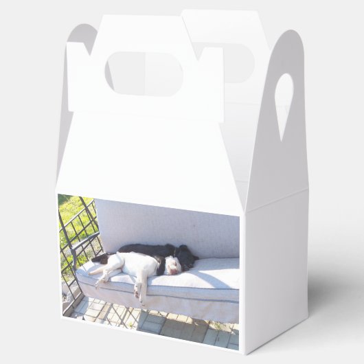 Labrador Geschenkschachtel (Geöffnet)