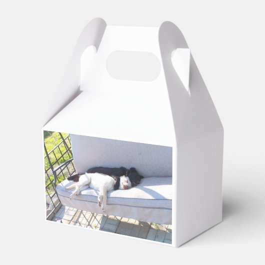 Labrador Geschenkschachtel (Vorderseite)