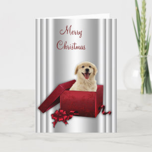 Labrador Golden Retriever Weihnachtskarten Feiertagskarte