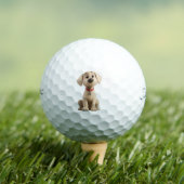 Labrador Golf Balls Golfball (Insitu T-Shirt)