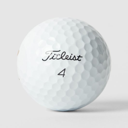 Labrador Golf Balls Golfball (Logo)