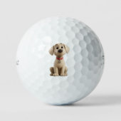 Labrador-Golfbälle Golfball (Vorderseite)