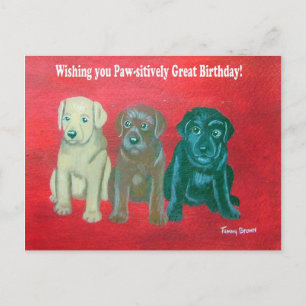 Labrador Happy Birthday Card Postkarte