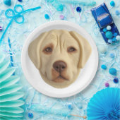 Labrador Hund 3D Inspiriert Pappteller (Party)