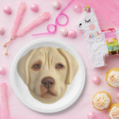 Labrador Hund 3D Inspiriert Pappteller (Party)