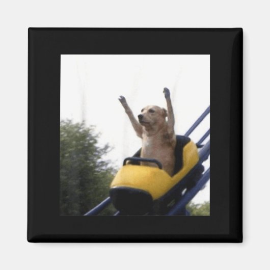 Labrador-Hund Achterbahn Lustiges Meme Magnet (Vorne)