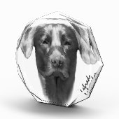 Labrador Hund cool Fotoblock (Rechts)