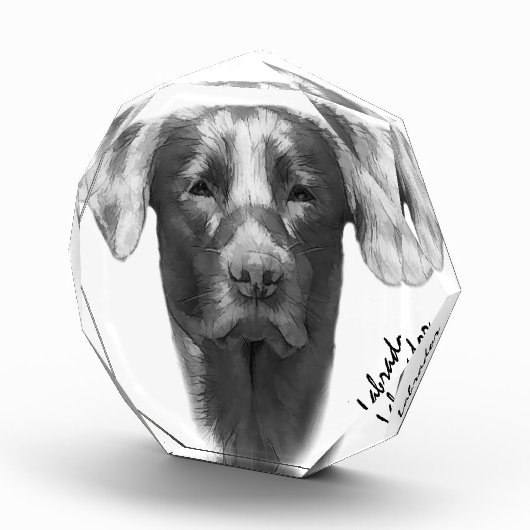 Labrador Hund cool Fotoblock (Rechts)