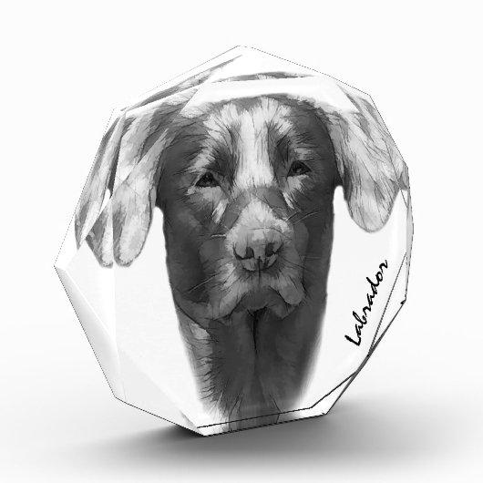 Labrador Hund cool Fotoblock (Links)