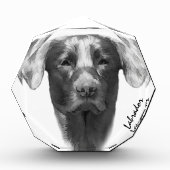 Labrador Hund cool Fotoblock (Vorderseite)