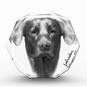 Labrador Hund cool Fotoblock