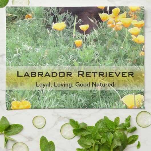 Labrador-Hund in der Handtuch (Gefaltet)