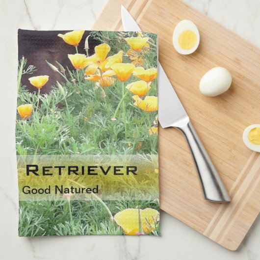 Labrador-Hund in der Handtuch (Viertel Falte)