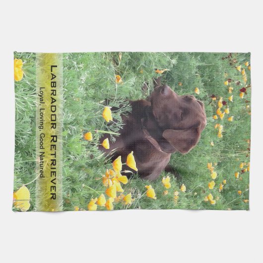 Labrador-Hund in der Handtuch (Horizontal)