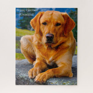 Labrador Hund. Puzzle