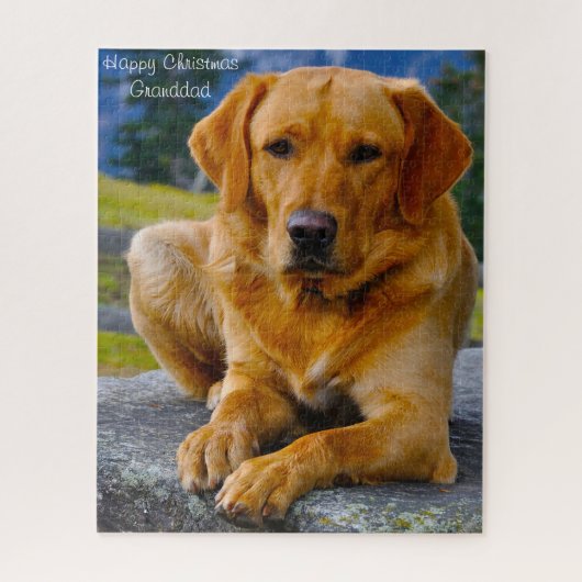 Labrador Hund. Puzzle (Vertikal)