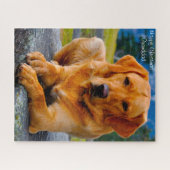 Labrador Hund. Puzzle (Horizontal)
