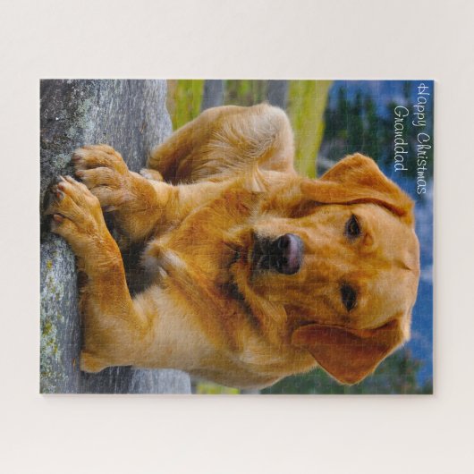 Labrador Hund. Puzzle (Horizontal)