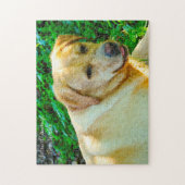 Labrador Hund. Puzzle (Vertikal)