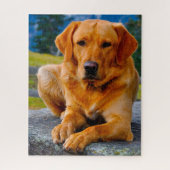 Labrador Hund. Puzzle (Vertikal)