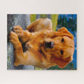 Labrador Hund. Puzzle (Horizontal)
